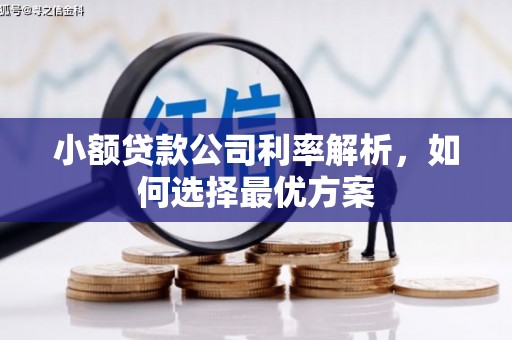 凤城小额贷款公司利率解析，如何选择最优方案