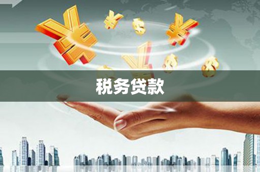 凤城税务贷款