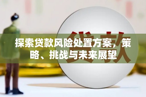 凤城探索贷款风险处置方案，策略、挑战与未来展望