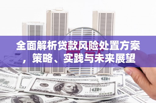 凤城全面解析贷款风险处置方案，策略、实践与未来展望