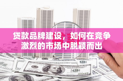 凤城贷款品牌建设，如何在竞争激烈的市场中脱颖而出