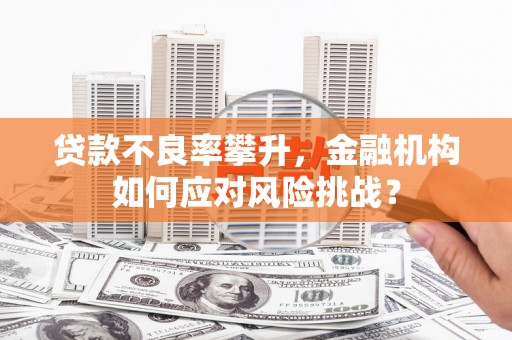 凤城贷款不良率攀升，金融机构如何应对风险挑战？