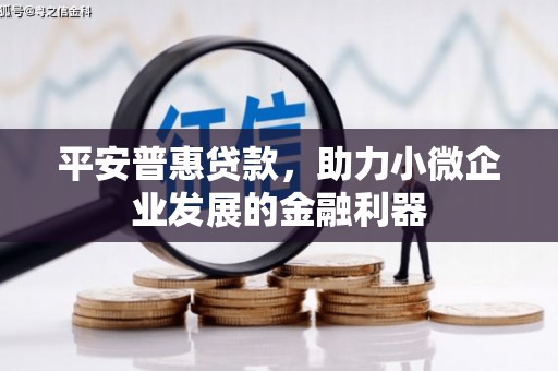 凤城平安普惠贷款，助力小微企业发展的金融利器