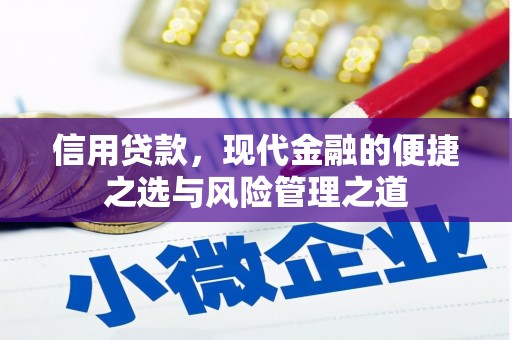 凤城信用贷款，现代金融的便捷之选与风险管理之道
