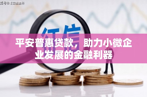凤城平安普惠贷款，助力小微企业发展的金融利器