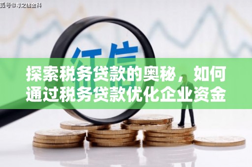 凤城探索税务贷款的奥秘，如何通过税务贷款优化企业资金流