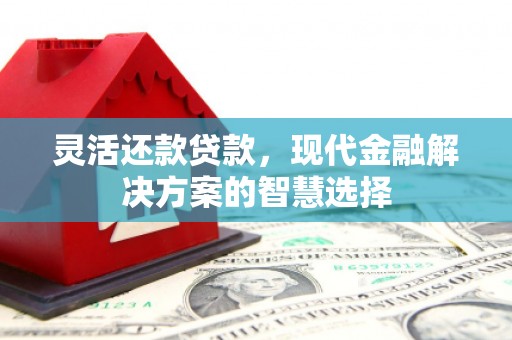 凤城灵活还款贷款，现代金融解决方案的智慧选择