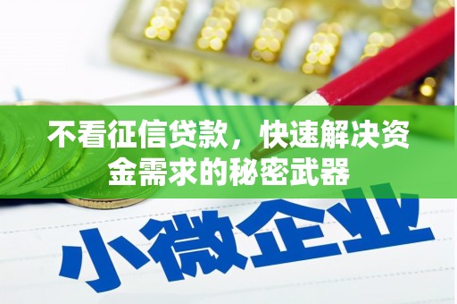 凤城不看征信贷款，快速解决资金需求的秘密武器