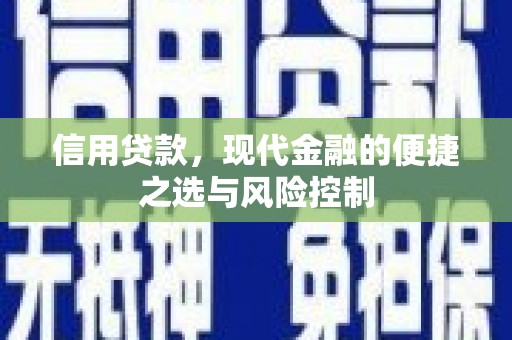 凤城信用贷款，现代金融的便捷之选与风险控制
