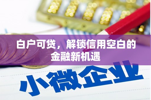凤城白户可贷，解锁信用空白的金融新机遇