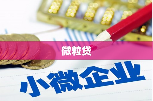 凤城微粒贷