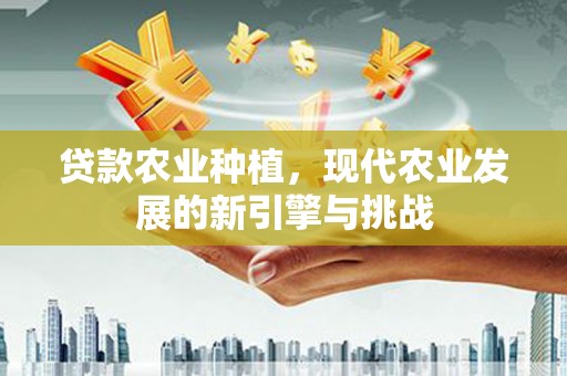 凤城贷款农业种植，现代农业发展的新引擎与挑战