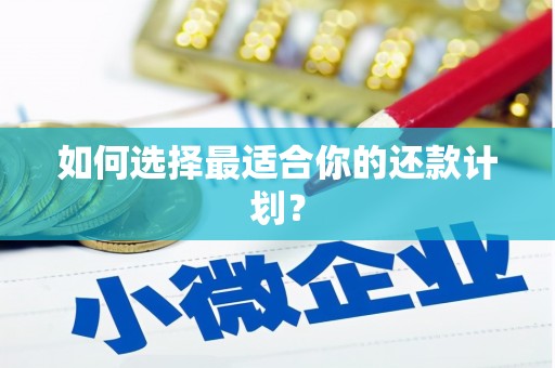 凤城如何选择最适合你的还款计划？