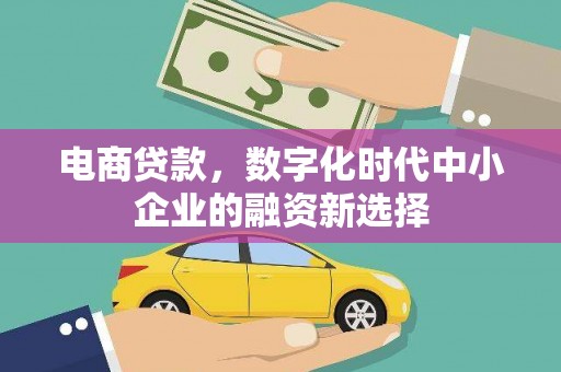 凤城电商贷款，数字化时代中小企业的融资新选择