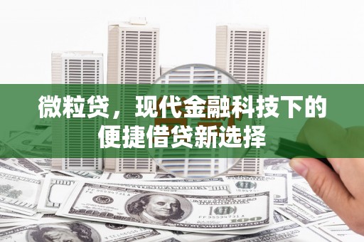 凤城微粒贷，现代金融科技下的便捷借贷新选择
