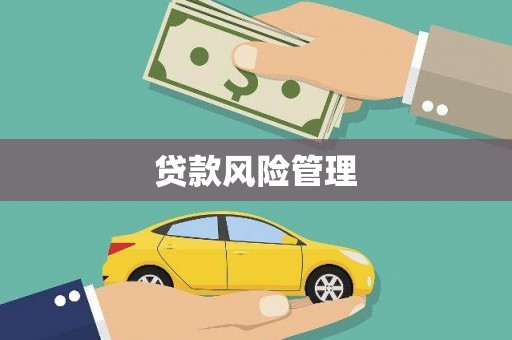 凤城贷款风险管理