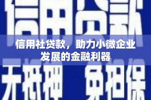 凤城信用社贷款，助力小微企业发展的金融利器