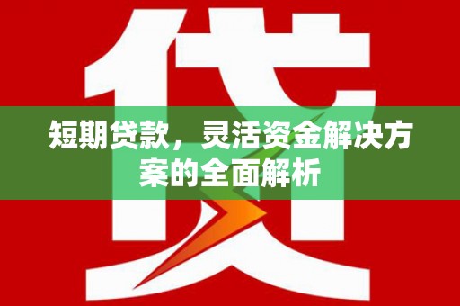 凤城短期贷款，灵活资金解决方案的全面解析