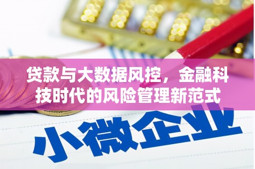 凤城贷款与大数据风控，金融科技时代的风险管理新范式