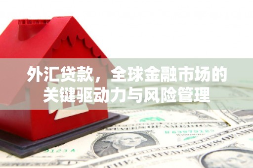凤城外汇贷款，全球金融市场的关键驱动力与风险管理