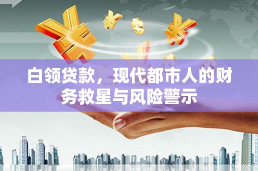 凤城白领贷款，现代都市人的财务救星与风险警示