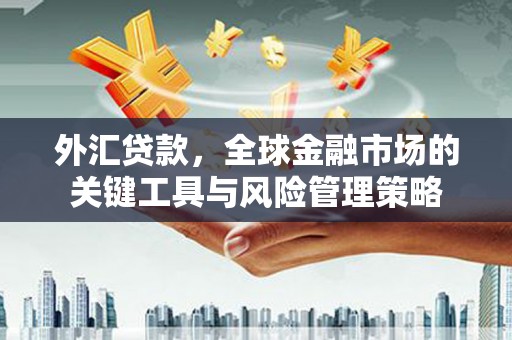 凤城外汇贷款，全球金融市场的关键工具与风险管理策略