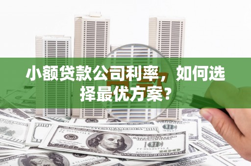 凤城小额贷款公司利率，如何选择最优方案？