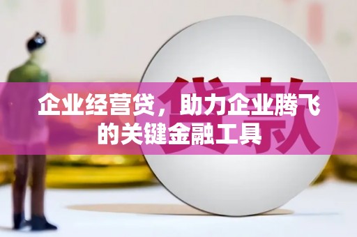 凤城企业经营贷，助力企业腾飞的关键金融工具