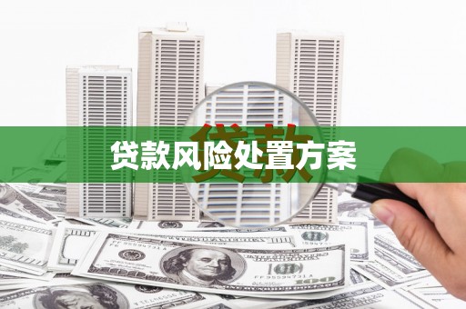 凤城贷款风险处置方案