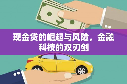 凤城现金贷的崛起与风险，金融科技的双刃剑
