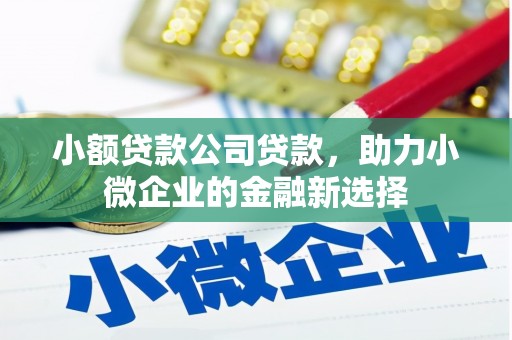 凤城小额贷款公司贷款，助力小微企业的金融新选择