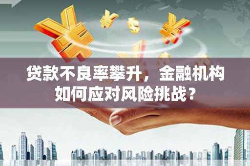 凤城贷款不良率攀升，金融机构如何应对风险挑战？