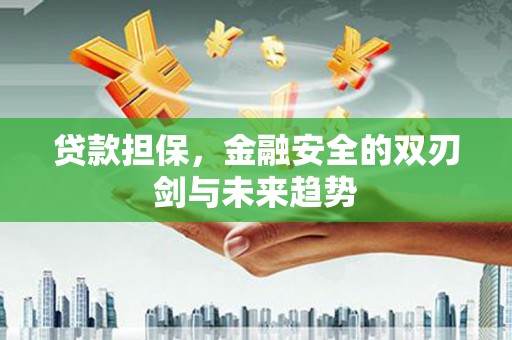 凤城贷款担保，金融安全的双刃剑与未来趋势