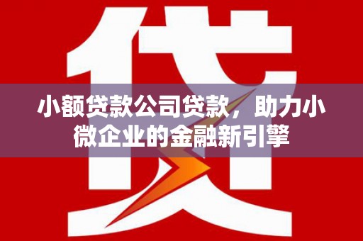 凤城小额贷款公司贷款，助力小微企业的金融新引擎