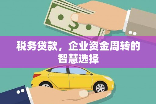 凤城税务贷款，企业资金周转的智慧选择