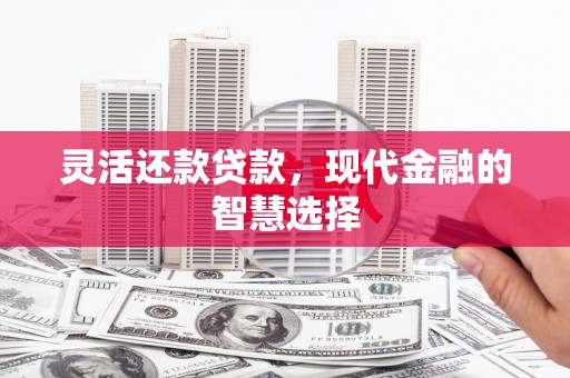 凤城灵活还款贷款，现代金融的智慧选择