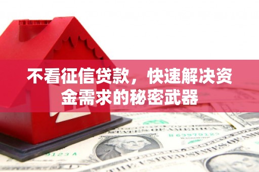 凤城不看征信贷款，快速解决资金需求的秘密武器