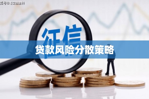 凤城贷款风险分散策略