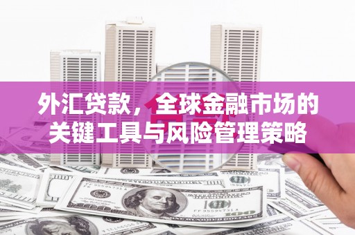 凤城外汇贷款，全球金融市场的关键工具与风险管理策略