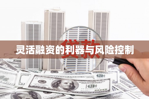 凤城灵活融资的利器与风险控制