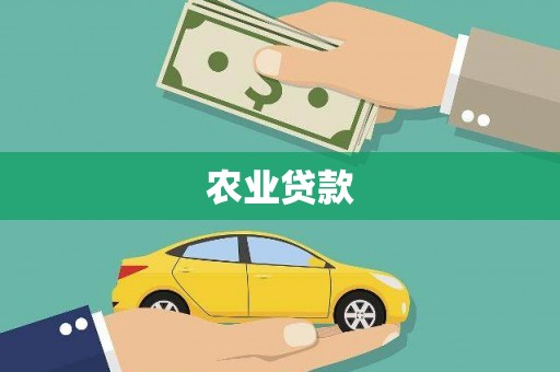 凤城农业贷款
