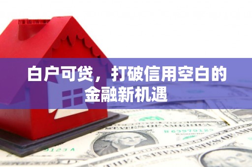 凤城白户可贷，打破信用空白的金融新机遇