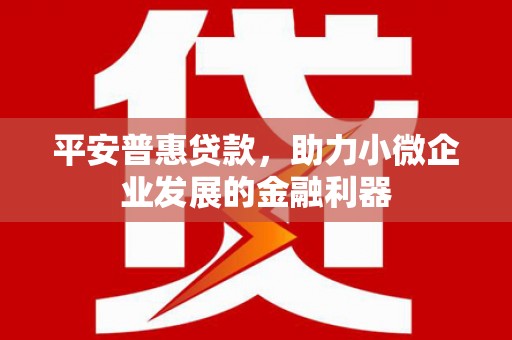 凤城平安普惠贷款，助力小微企业发展的金融利器