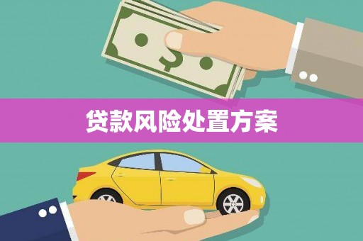 凤城贷款风险处置方案