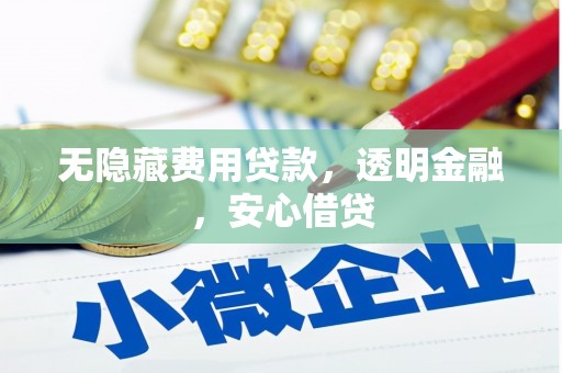 凤城无隐藏费用贷款，透明金融，安心借贷