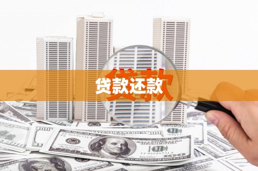 凤城贷款还款