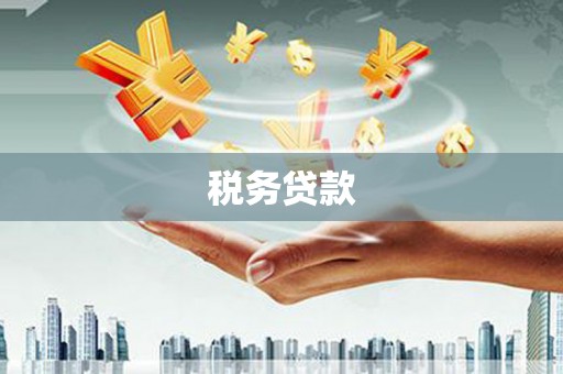凤城税务贷款