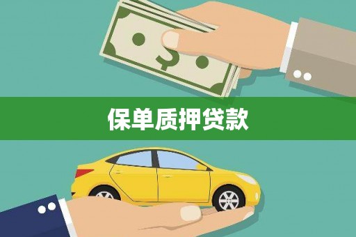 凤城保单质押贷款