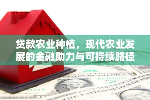 凤城贷款农业种植，现代农业发展的金融助力与可持续路径