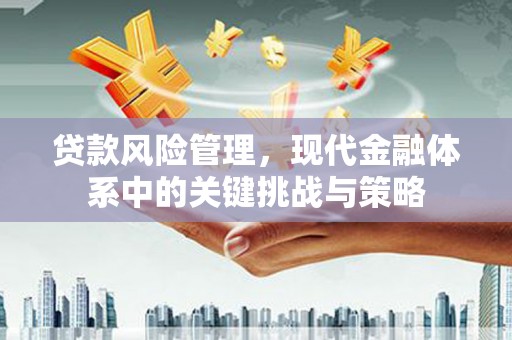 凤城贷款风险管理，现代金融体系中的关键挑战与策略